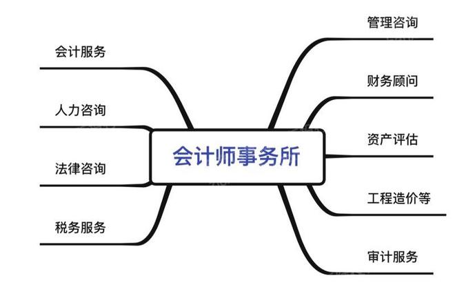 2023年会计师事务所研究报告