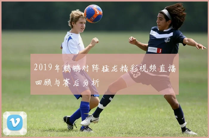 2019年鹈鹕对阵猛龙精彩视频直播回顾与赛后分析